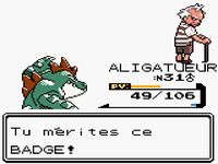 une photo d'Ã©cran de Pokemon Or sur Nintendo Game Boy Color